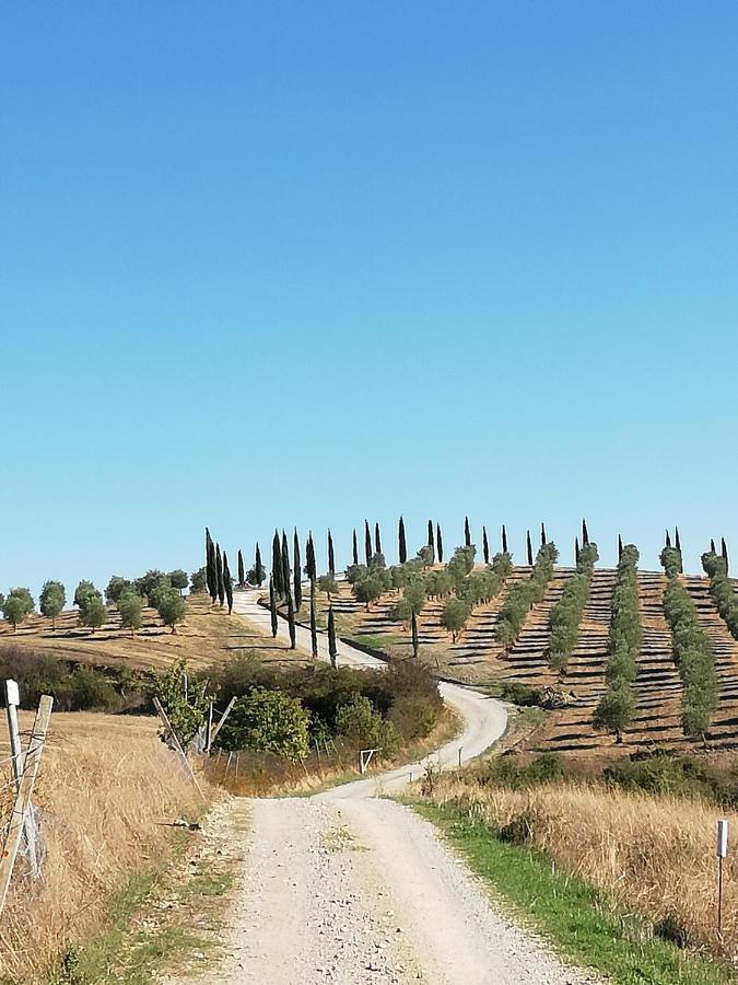 Podere Sant'Antonio Villa Buonconvento Exterior foto