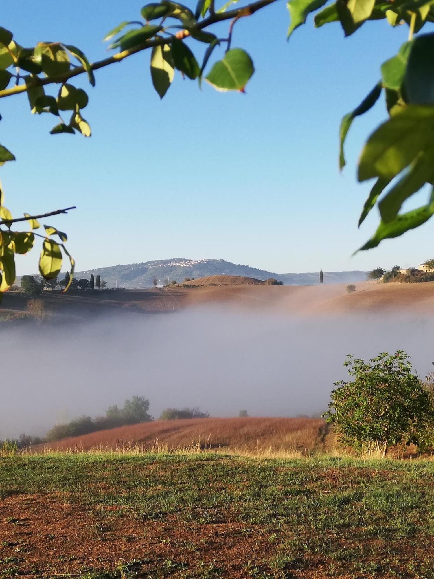 Podere Sant'Antonio Villa Buonconvento Exterior foto